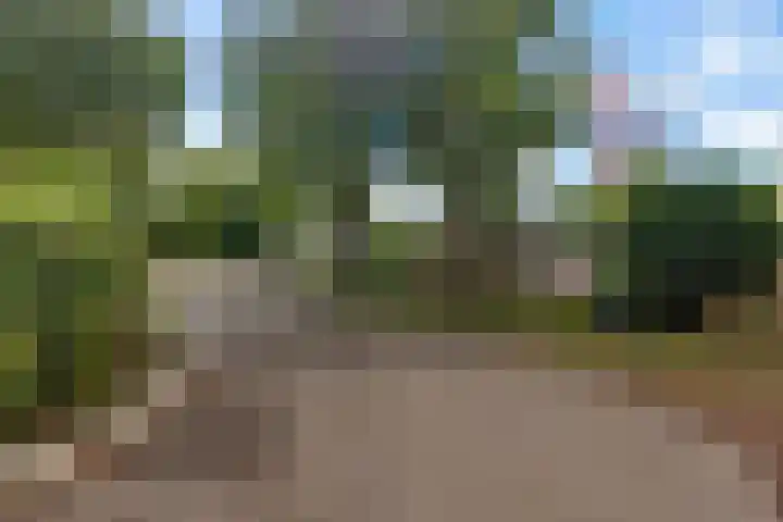 Park Groenhart 16 Dirkshorn thumbnail 35