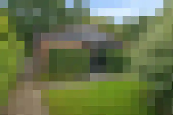 Park Groenhart 16 Dirkshorn thumbnail 4