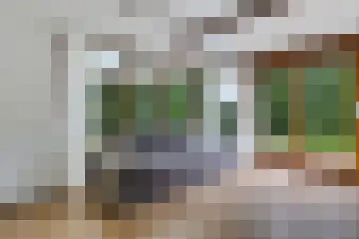 Park Groenhart 16 Dirkshorn thumbnail 9