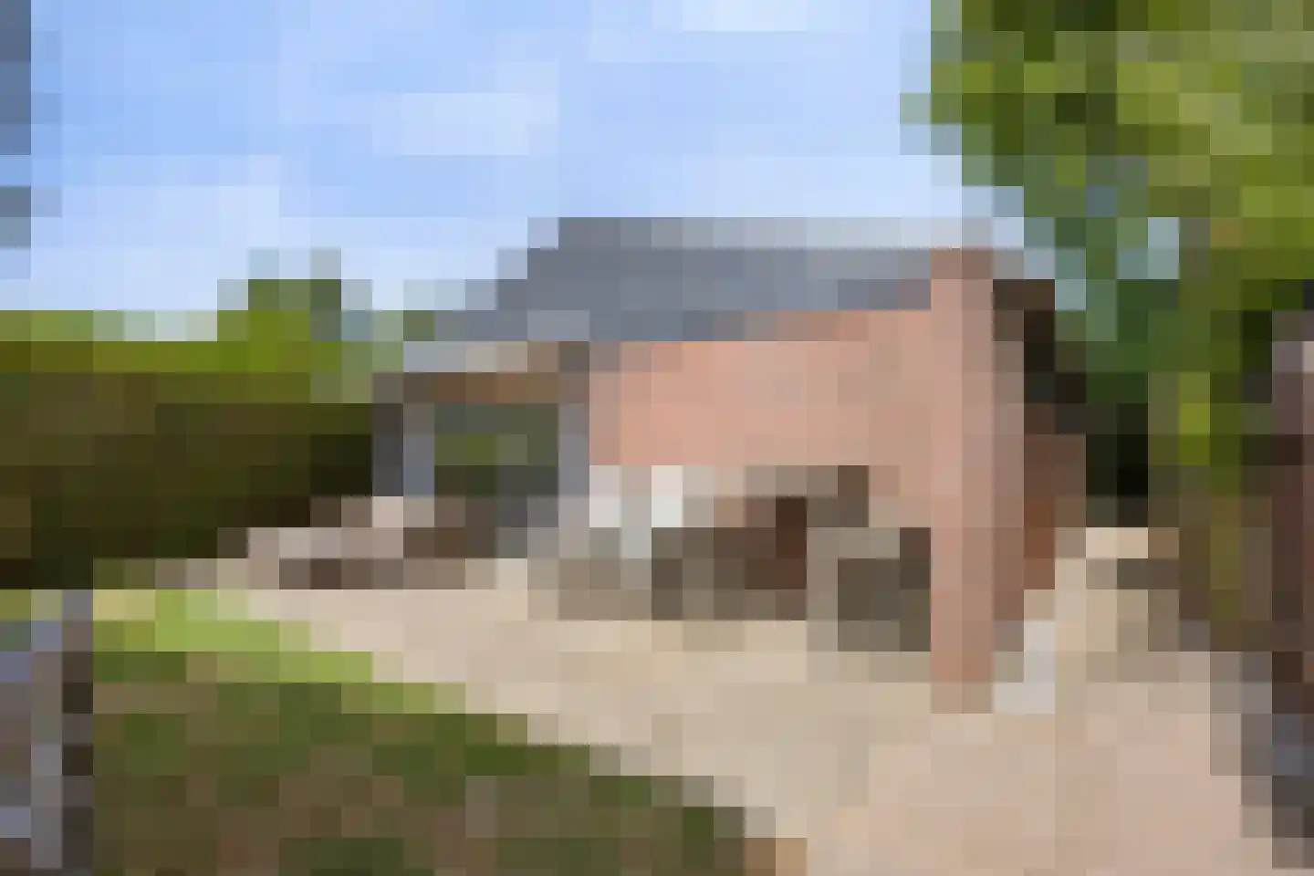 Park Groenhart 51 Dirkshorn thumbnail 15
