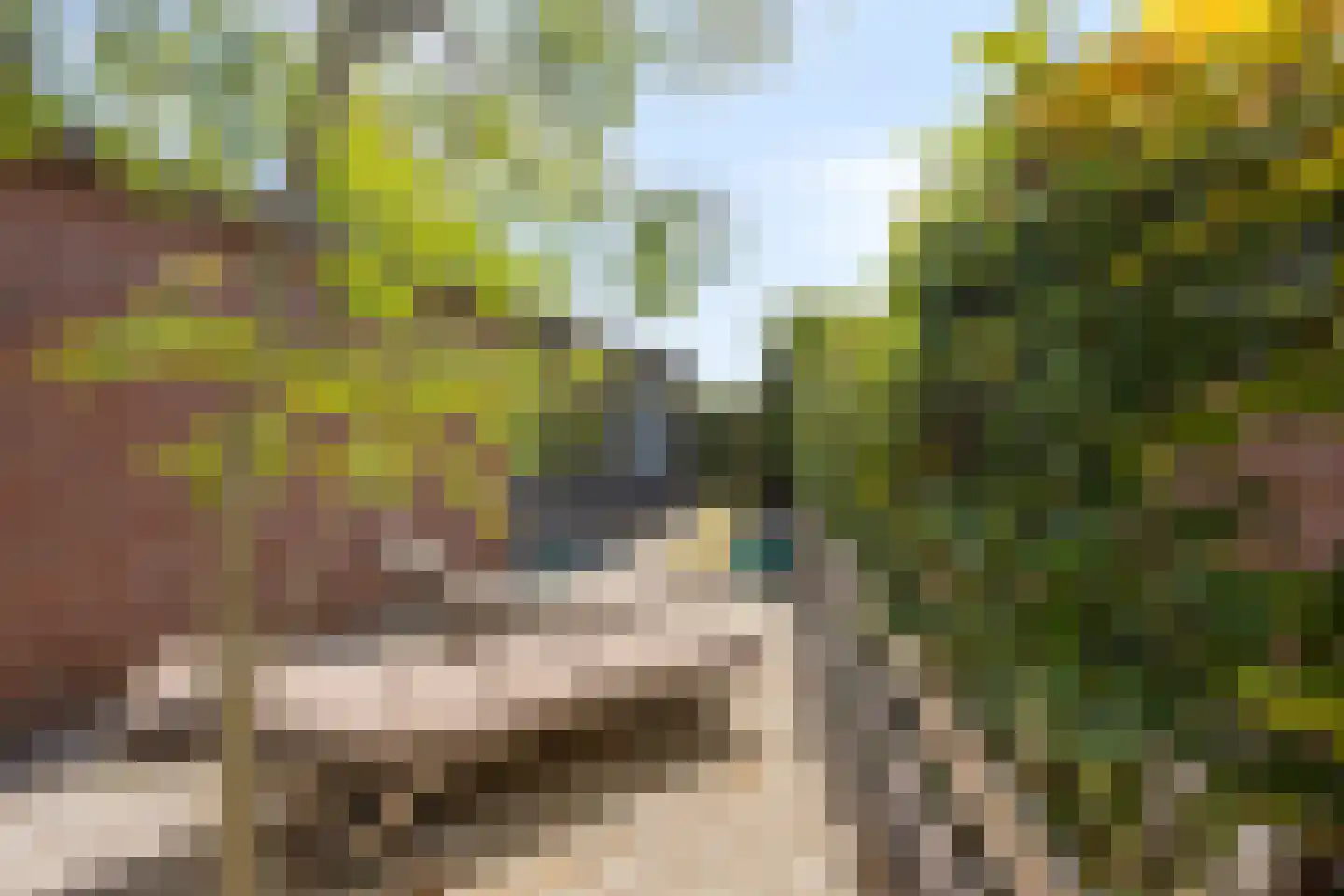 Park Groenhart 51 Dirkshorn thumbnail 17
