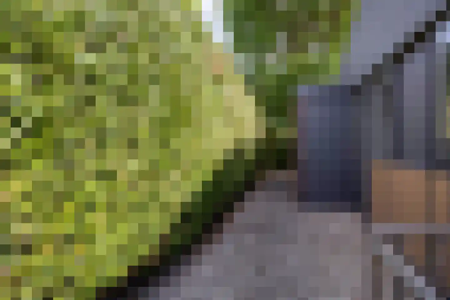 Park Groenhart 51 Dirkshorn thumbnail 18