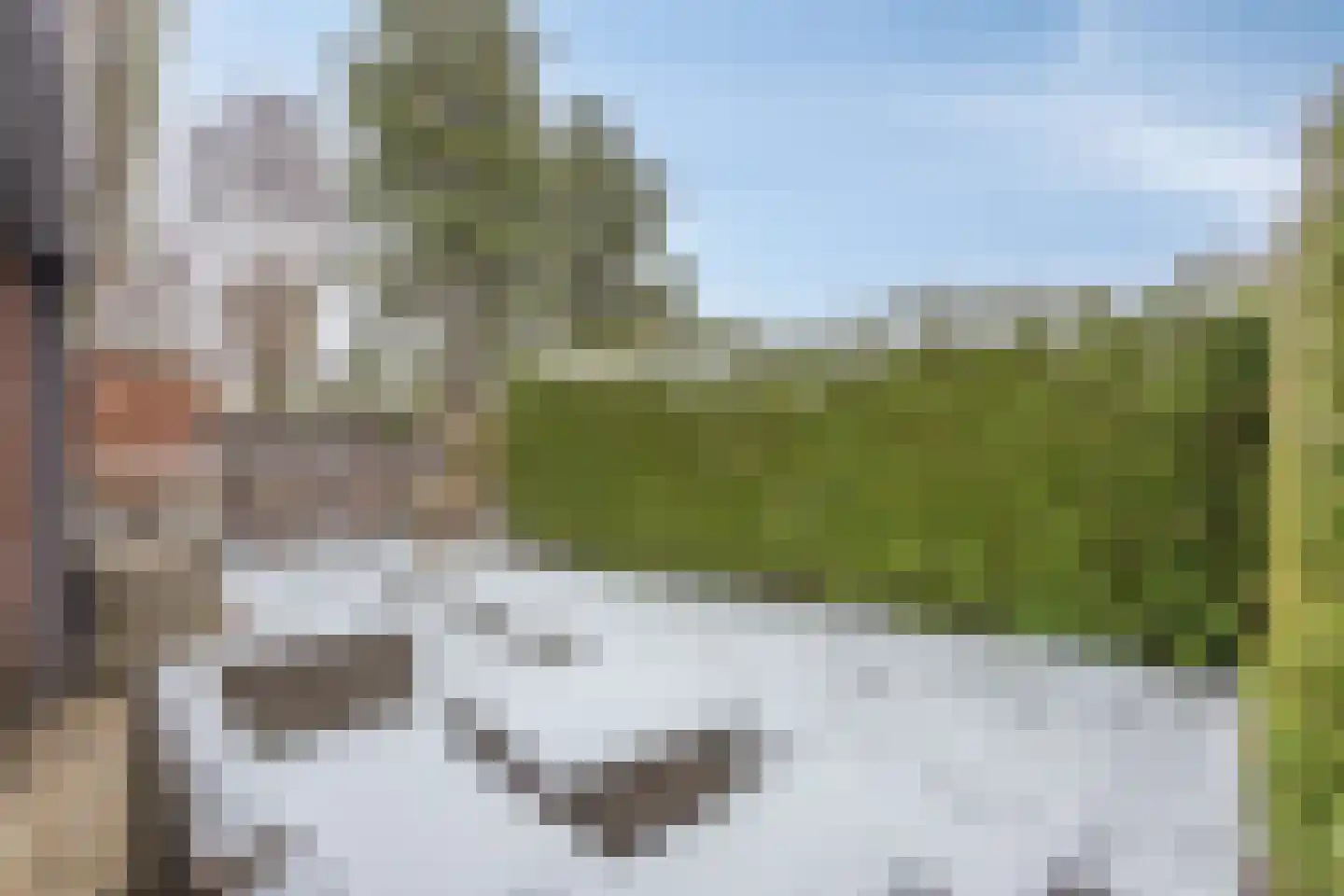 Park Groenhart 51 Dirkshorn thumbnail 18