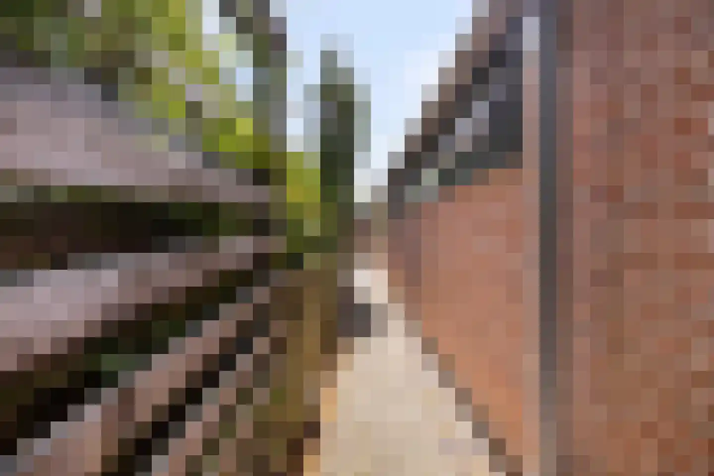 Park Groenhart 51 Dirkshorn thumbnail 19