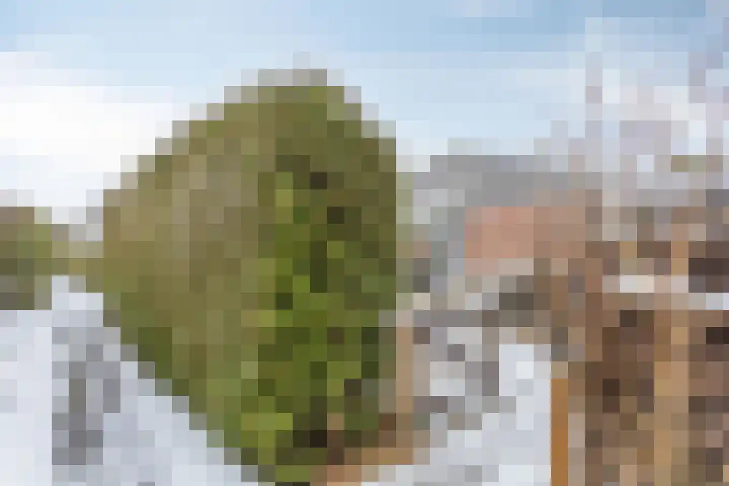 Park Groenhart 51 Dirkshorn thumbnail 22