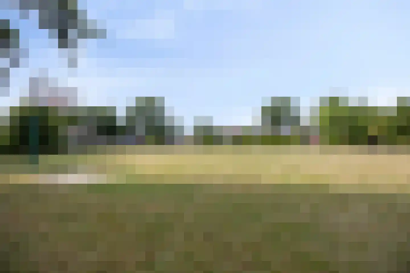 Park Groenhart 51 Dirkshorn thumbnail 22