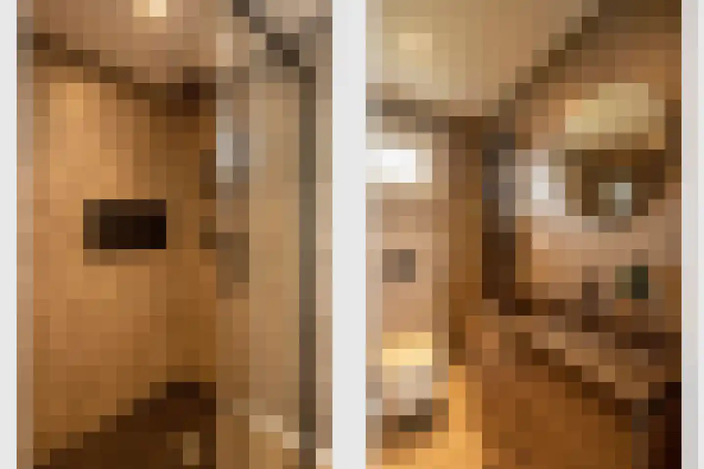 Park Hertenwei 209 Lage Mierde thumbnail 18