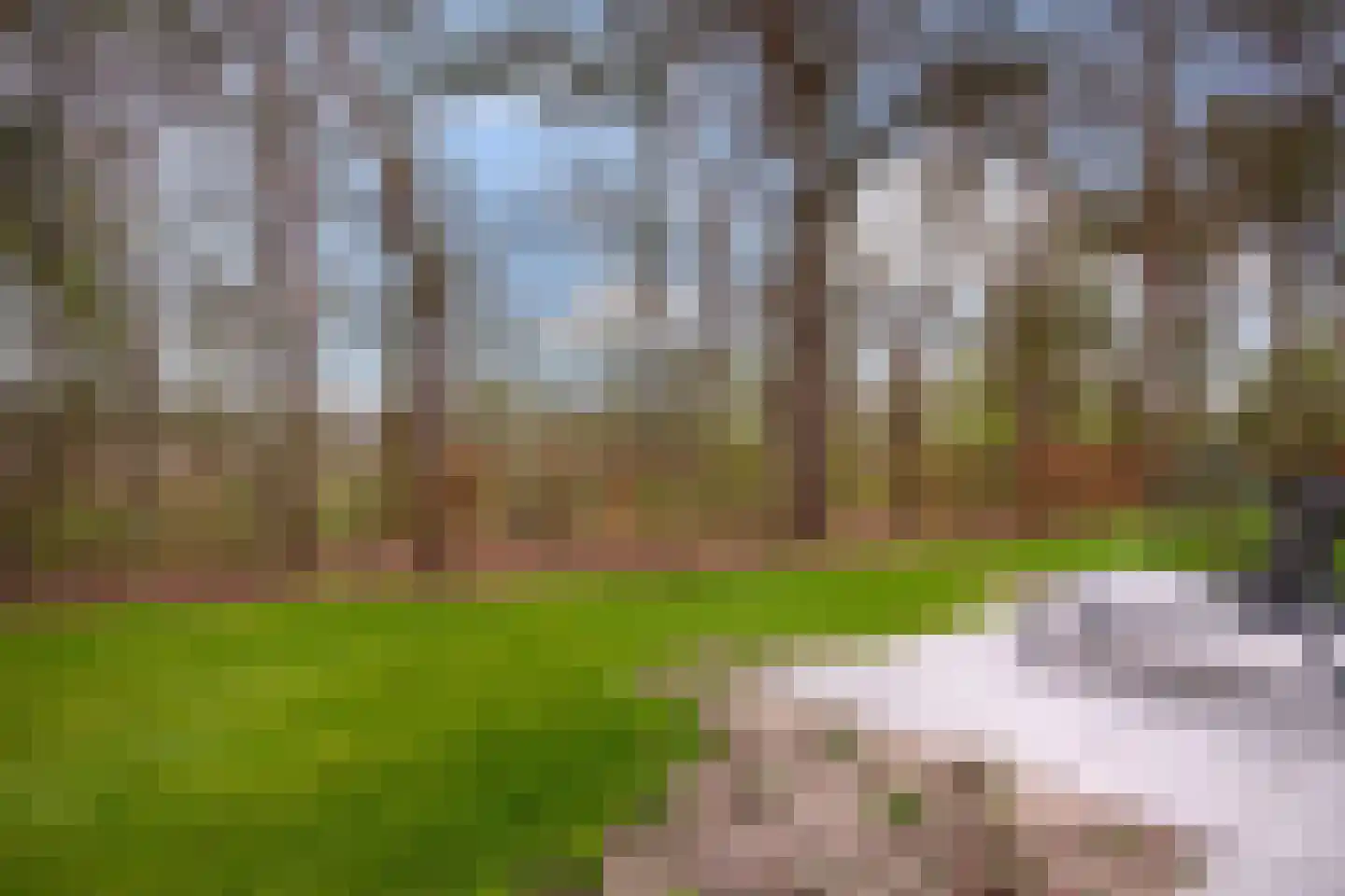 Park Hertenwei 209 Lage Mierde thumbnail 24