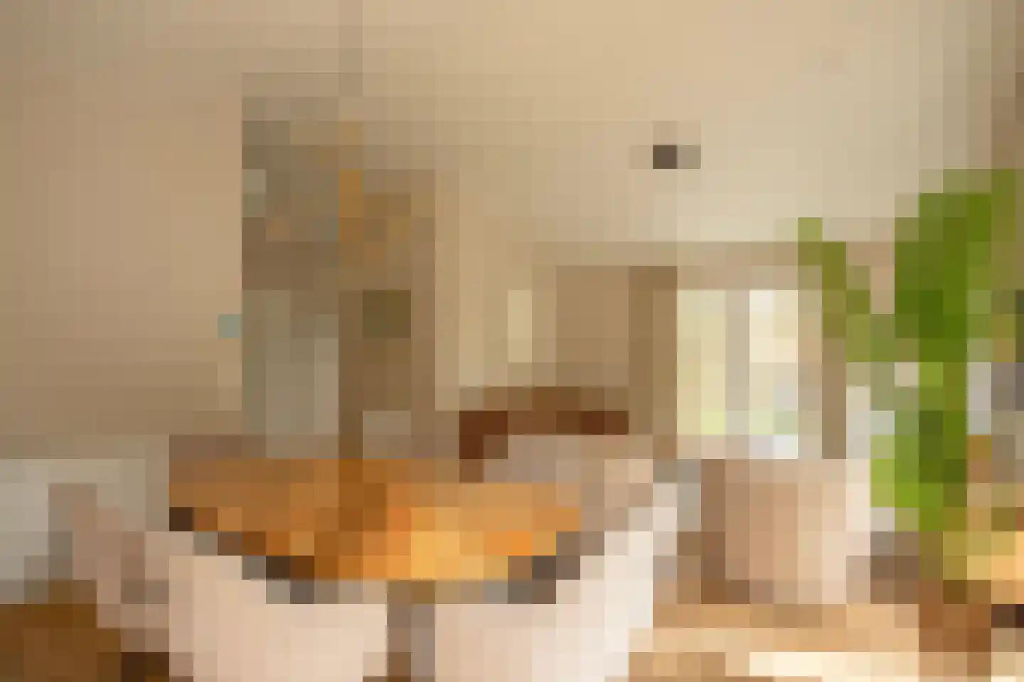 Park Hertenwei 209 Lage Mierde thumbnail 7