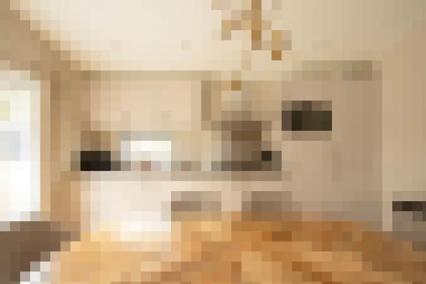 Park Hertenwei 209 Lage Mierde thumbnail 8