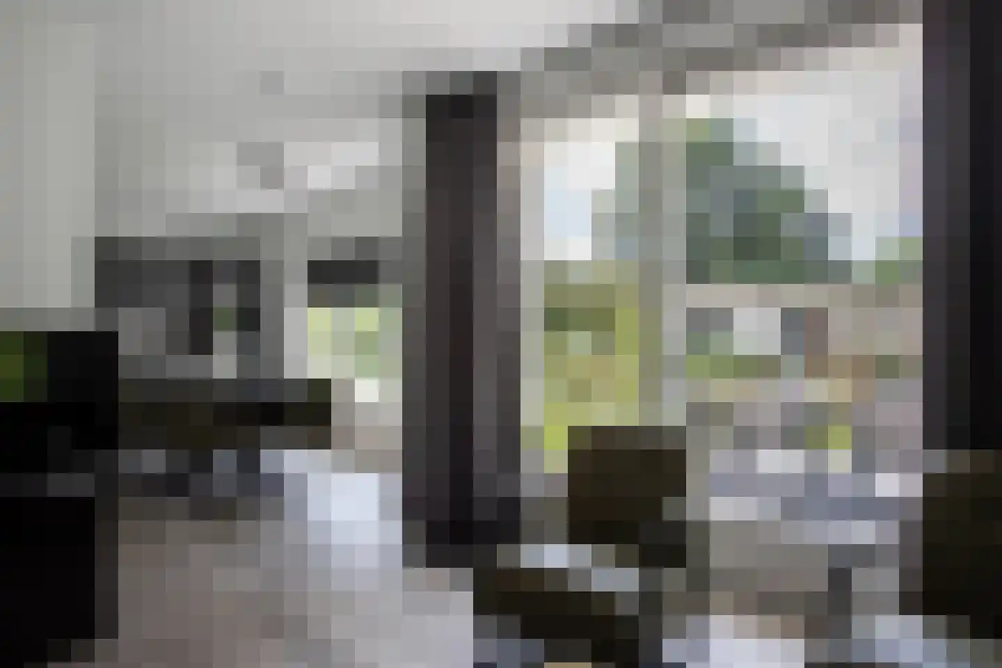 Park Hertenwei 26 Lage Mierde thumbnail 6