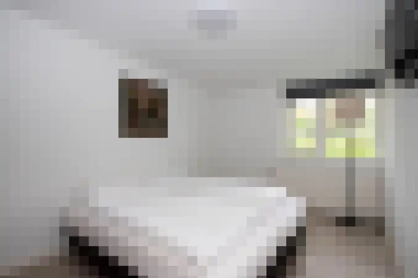 Park Hertenwei 34 Lage Mierde thumbnail 12
