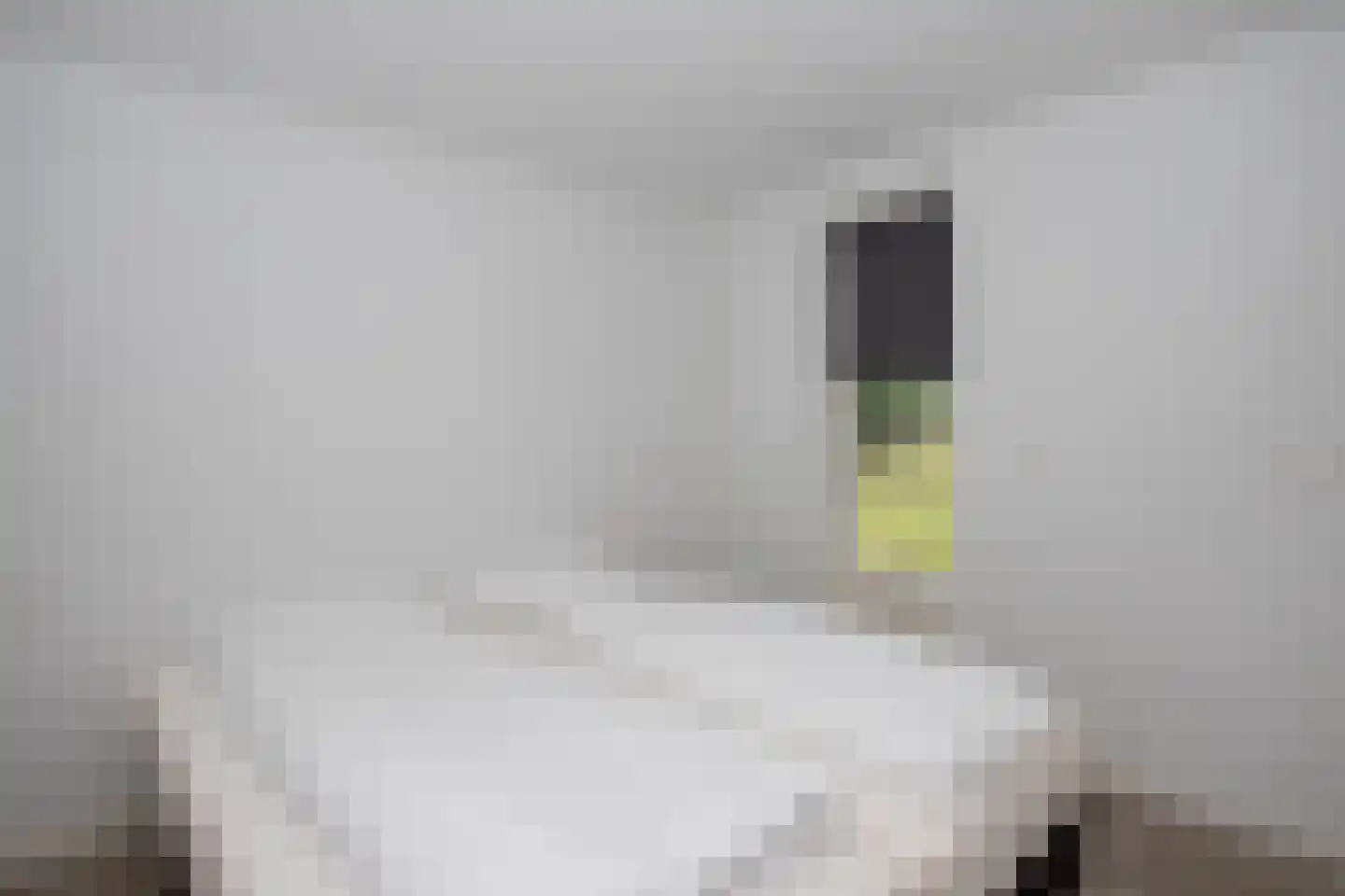 Park Hertenwei 34 Lage Mierde thumbnail 14