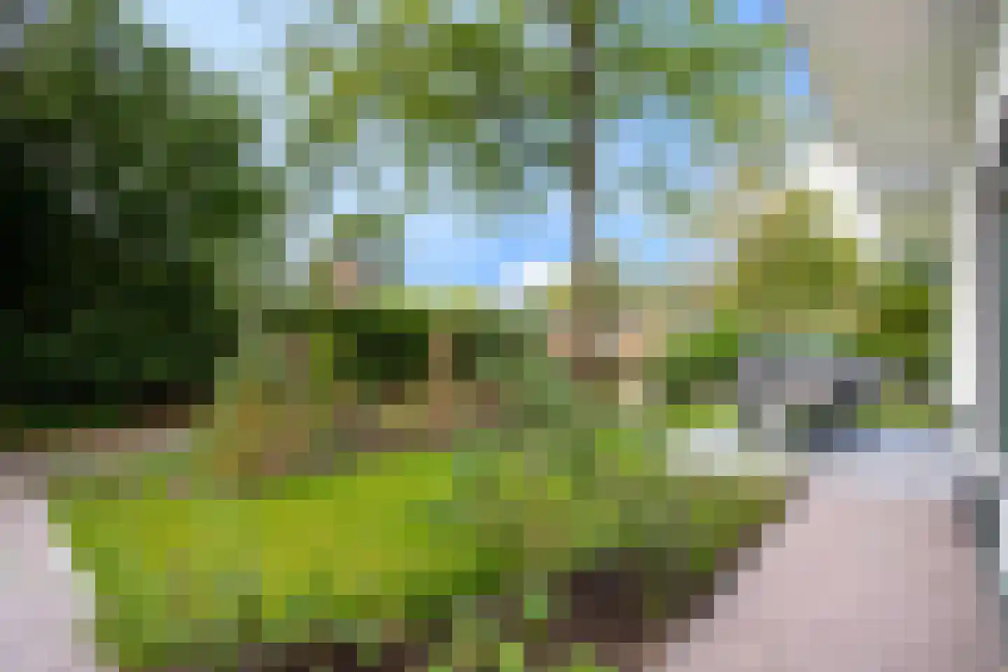 Park Hertenwei 34 Lage Mierde thumbnail 18