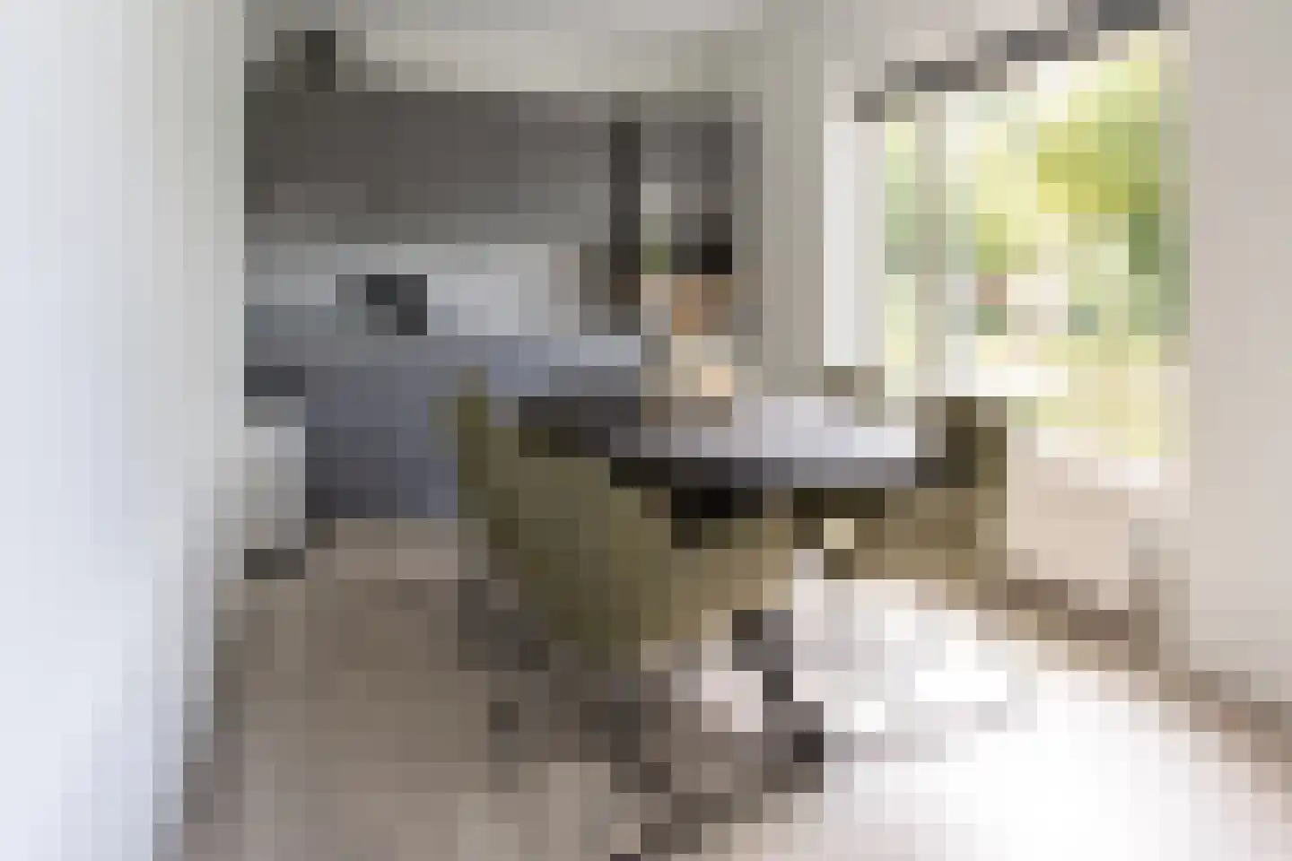 Park Hertenwei 34 Lage Mierde thumbnail 8