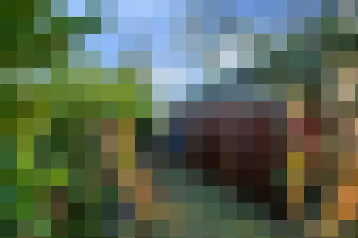 Park Hertenwei 49 Lage Mierde thumbnail 12