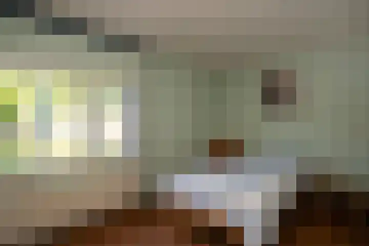 Park Hertenwei 5 Lage Mierde thumbnail 13