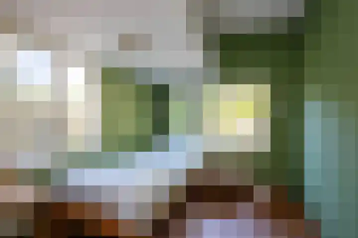 Park Hertenwei 5 Lage Mierde thumbnail 15