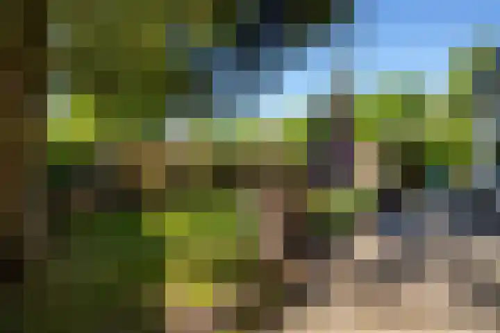 Park Hertenwei 5 Lage Mierde thumbnail 19