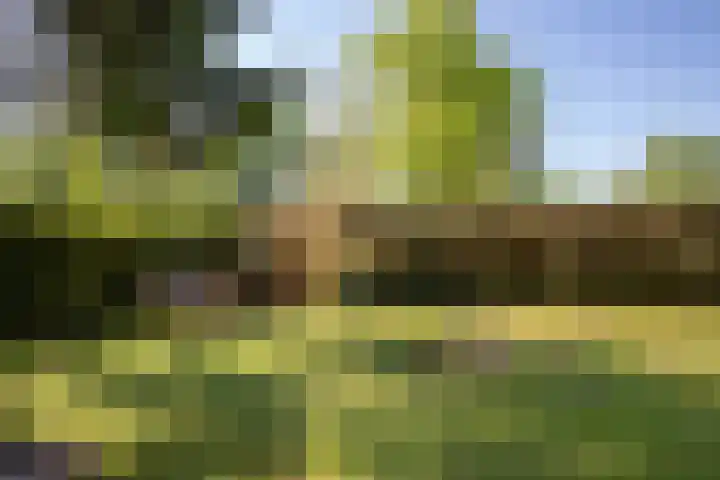 Park Hertenwei 5 Lage Mierde thumbnail 20