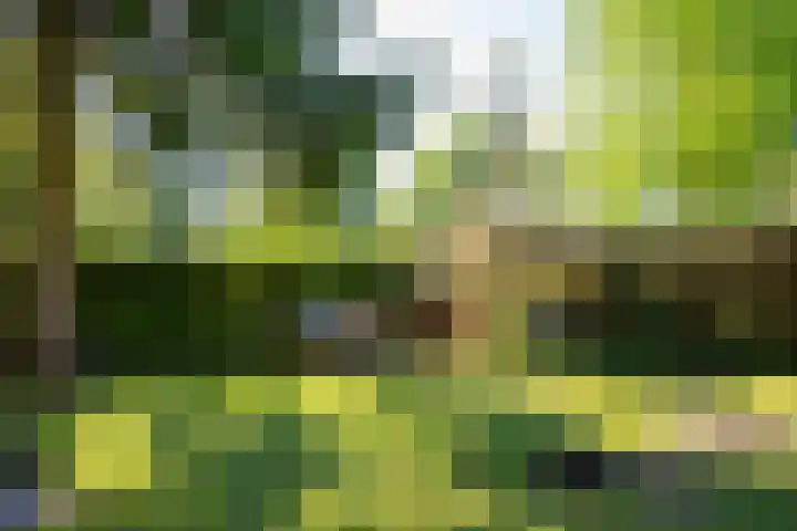 Park Hertenwei 5 Lage Mierde thumbnail 22