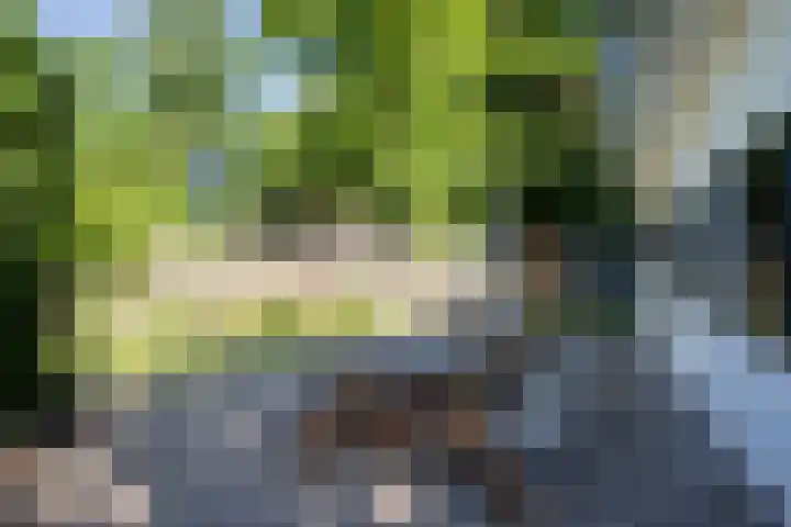 Park Hertenwei 5 Lage Mierde thumbnail 23