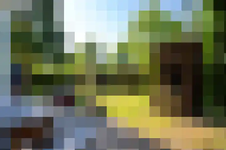 Park Hertenwei 5 Lage Mierde thumbnail 24