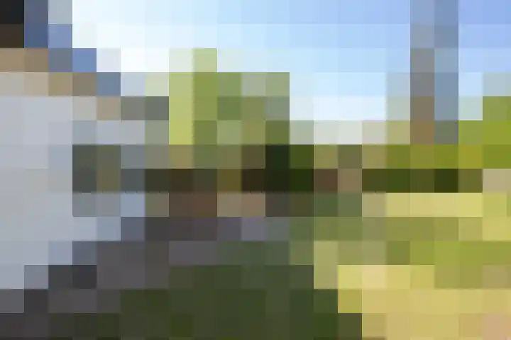 Park Hertenwei 5 Lage Mierde thumbnail 25