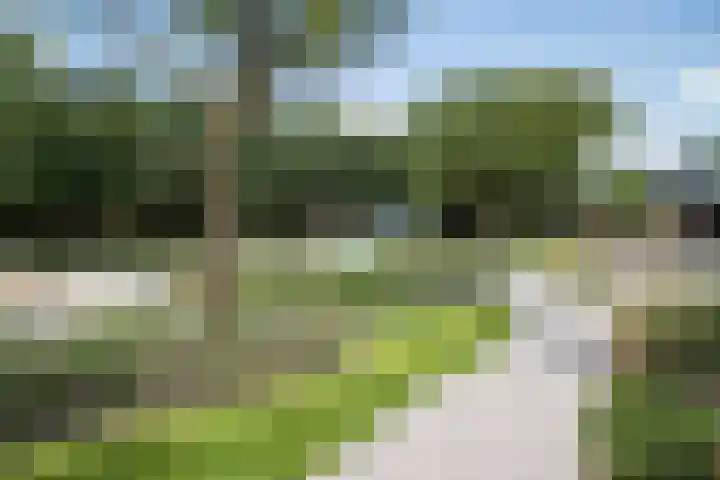 Park Hertenwei 5 Lage Mierde thumbnail 30