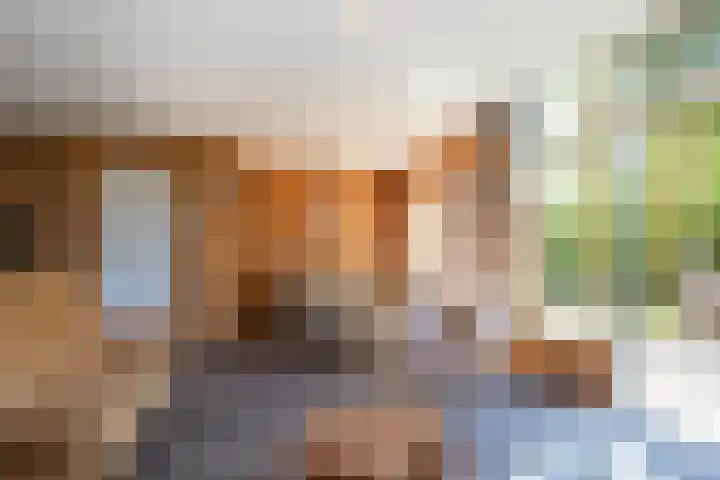 Park Hertenwei 5 Lage Mierde thumbnail 6