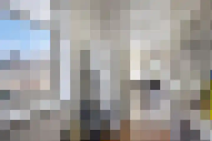 Park Hoogstraaten 21 Mill thumbnail 20