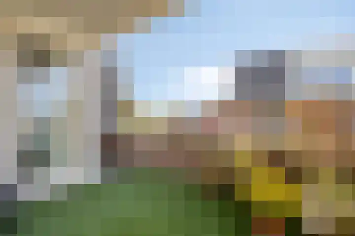 Park Hoogstraaten 21 Mill thumbnail 28