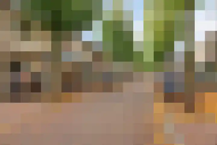 Park Hoogstraaten 21 Mill thumbnail 37