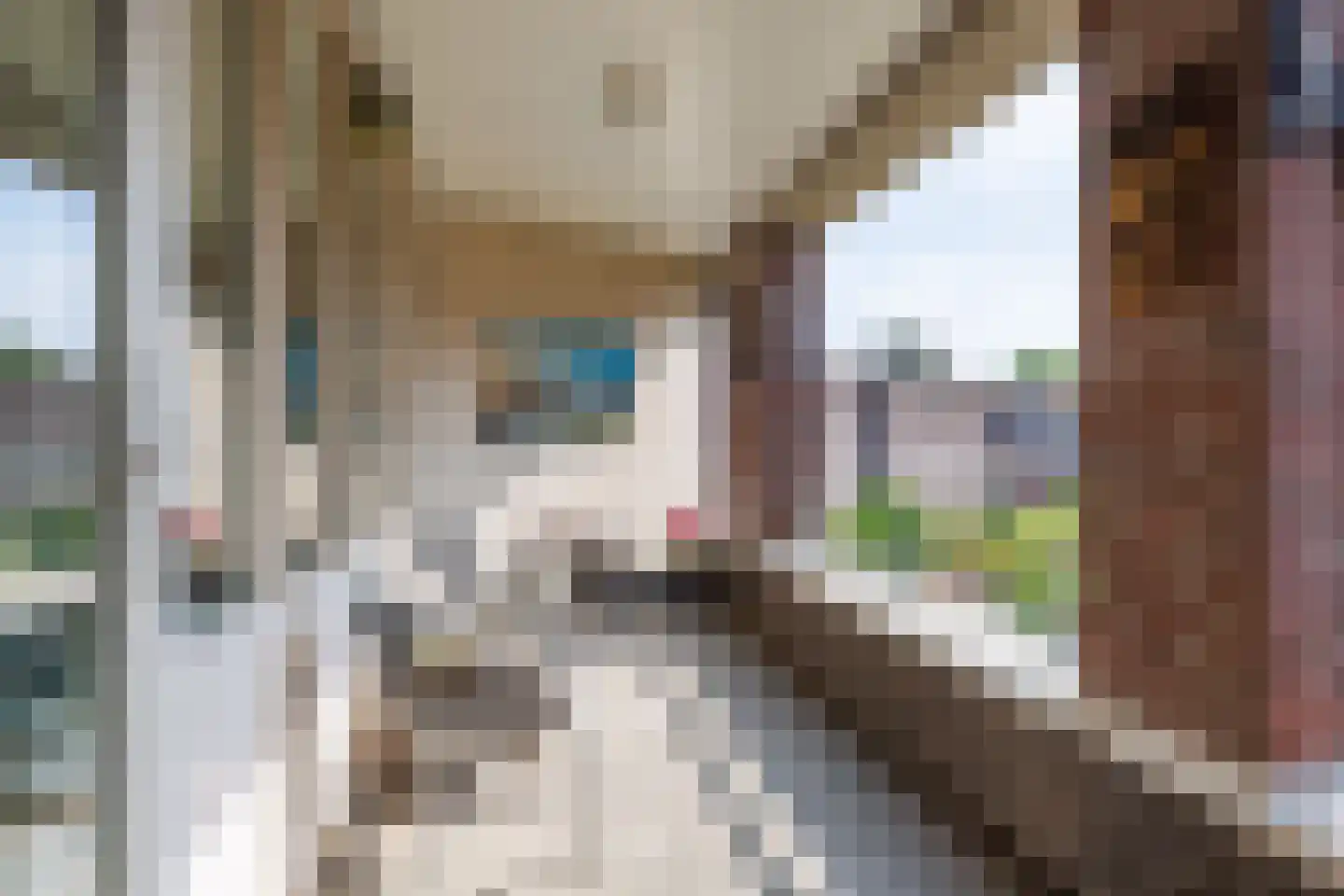 Park Hoogstraaten 25 Mill thumbnail 21