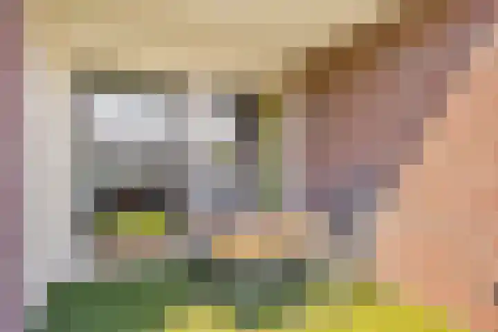 Park Hoogstraaten 6 Mill thumbnail 10