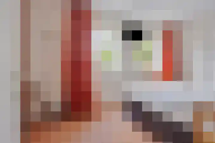 Park Hoogstraaten 6 Mill thumbnail 13
