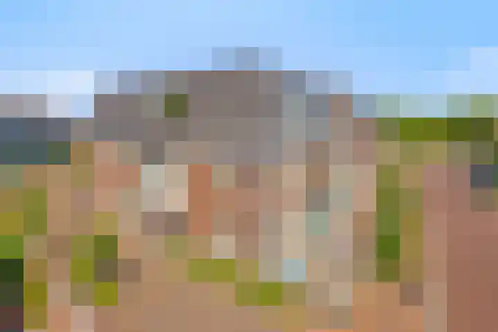Park Hoogstraaten 6 Mill thumbnail 28