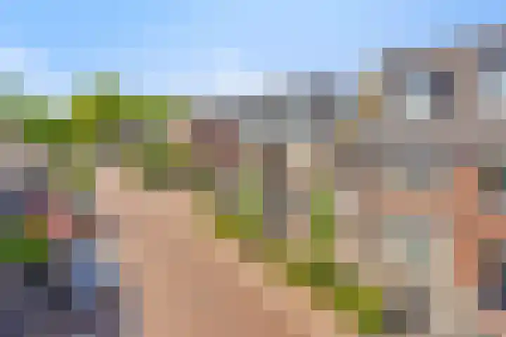 Park Hoogstraaten 6 Mill thumbnail 32
