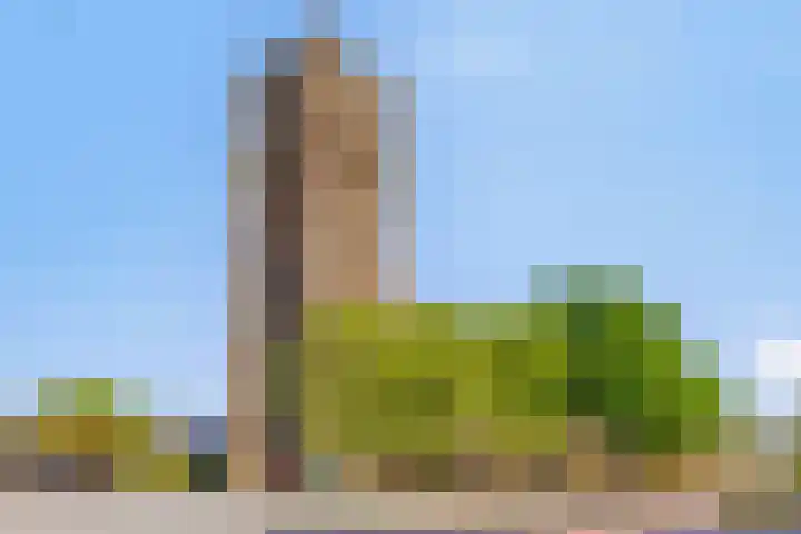 Park Hoogstraaten 6 Mill thumbnail 33