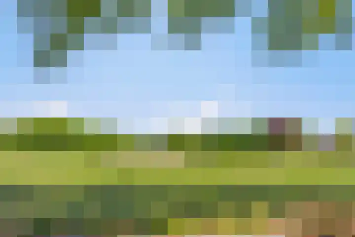 Park Hoogstraaten 6 Mill thumbnail 34