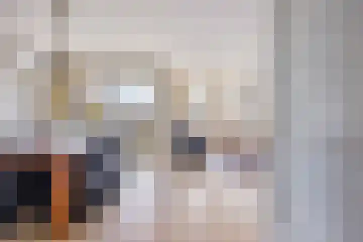 Park Hoogstraaten 6 Mill thumbnail 5