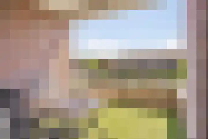 Park Hoogstraaten 6 Mill thumbnail 9