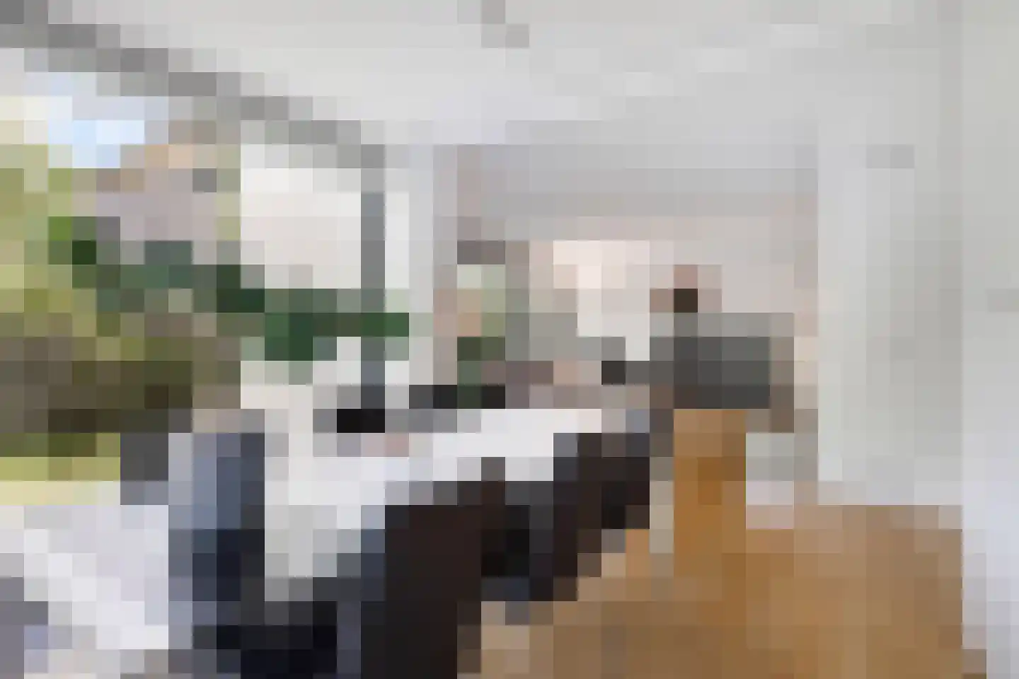 Park Hoornwijck 18 Rijswijk thumbnail 23