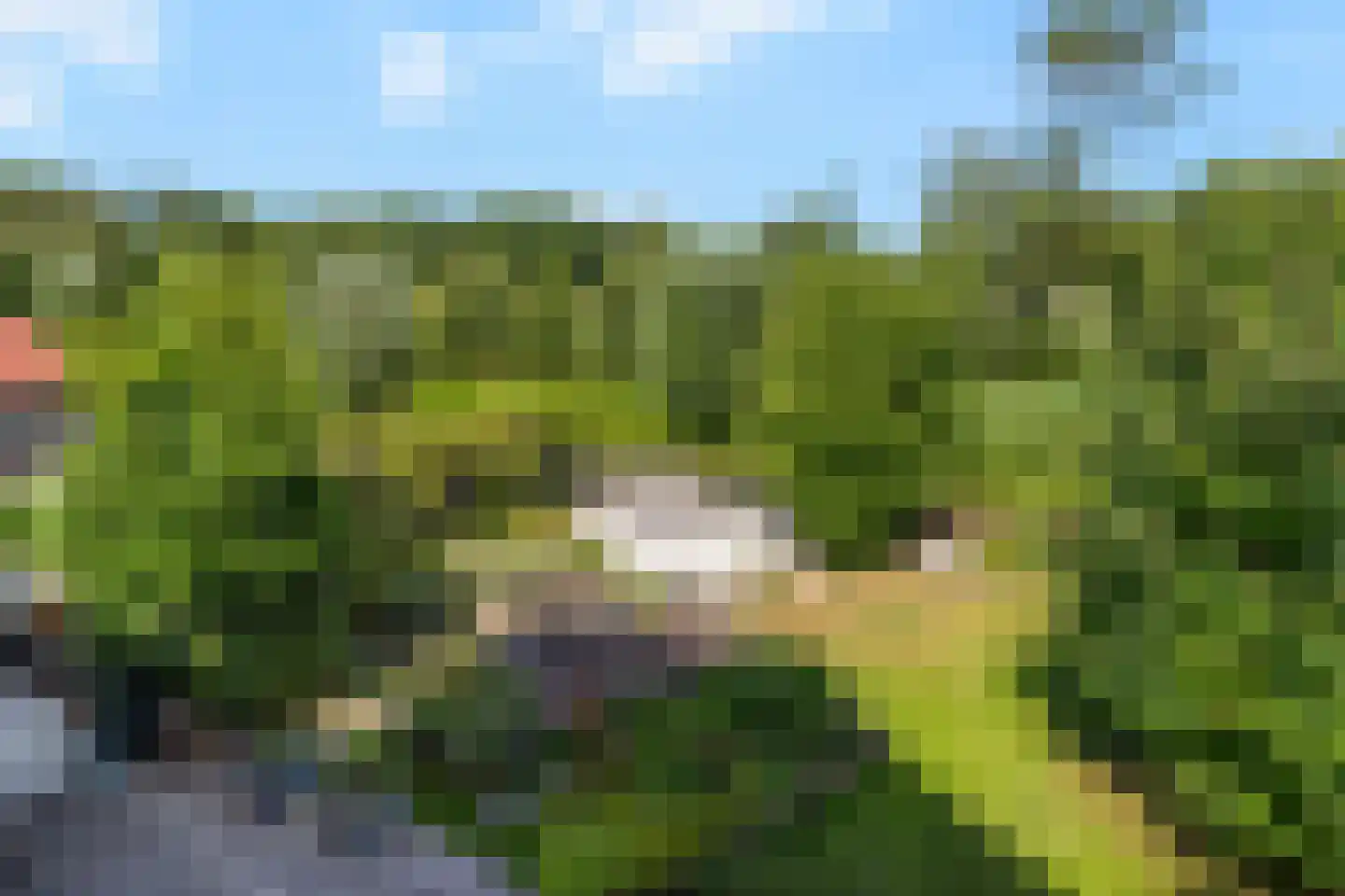 Park Hoornwijck 18 Rijswijk thumbnail 27