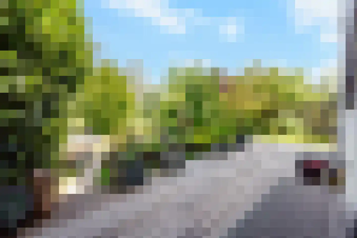 Park Hoornwijck 18 Rijswijk thumbnail 28