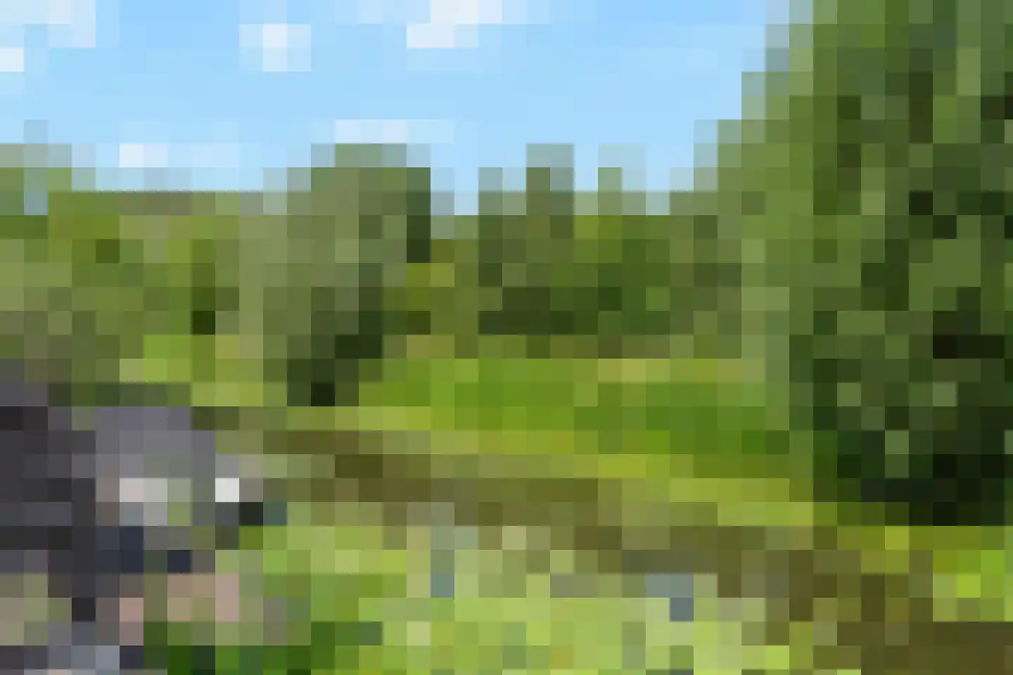 Park Hoornwijck 18 Rijswijk thumbnail 37