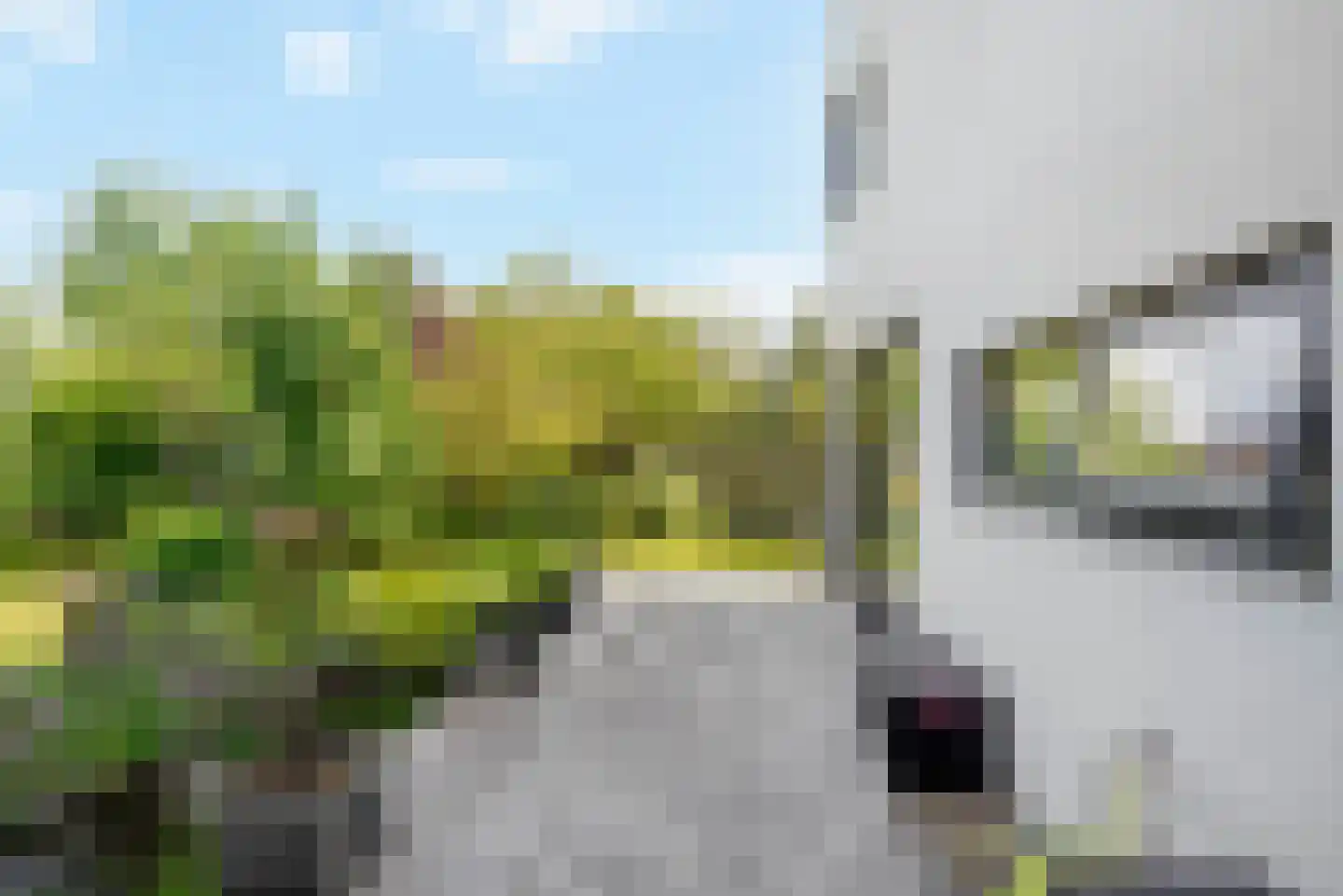 Park Hoornwijck 18 Rijswijk thumbnail 40