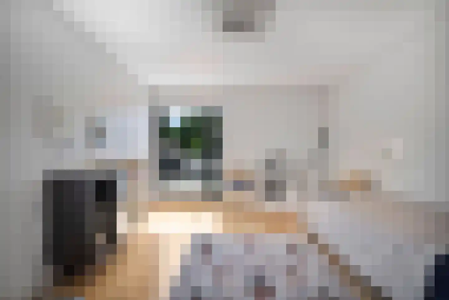 Park Hoornwijck 18 Rijswijk thumbnail 46