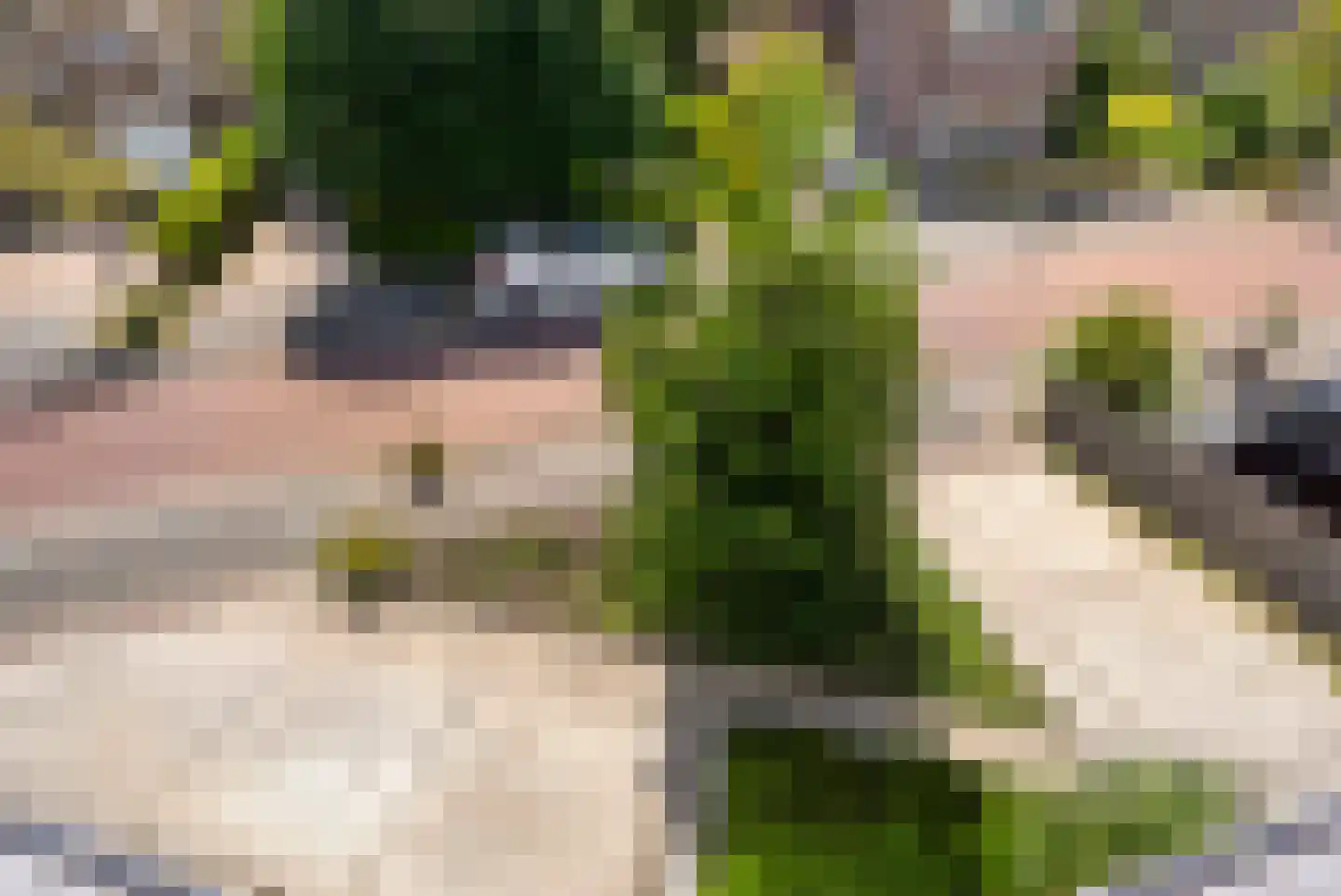 Park Hoornwijck 18 Rijswijk thumbnail 49