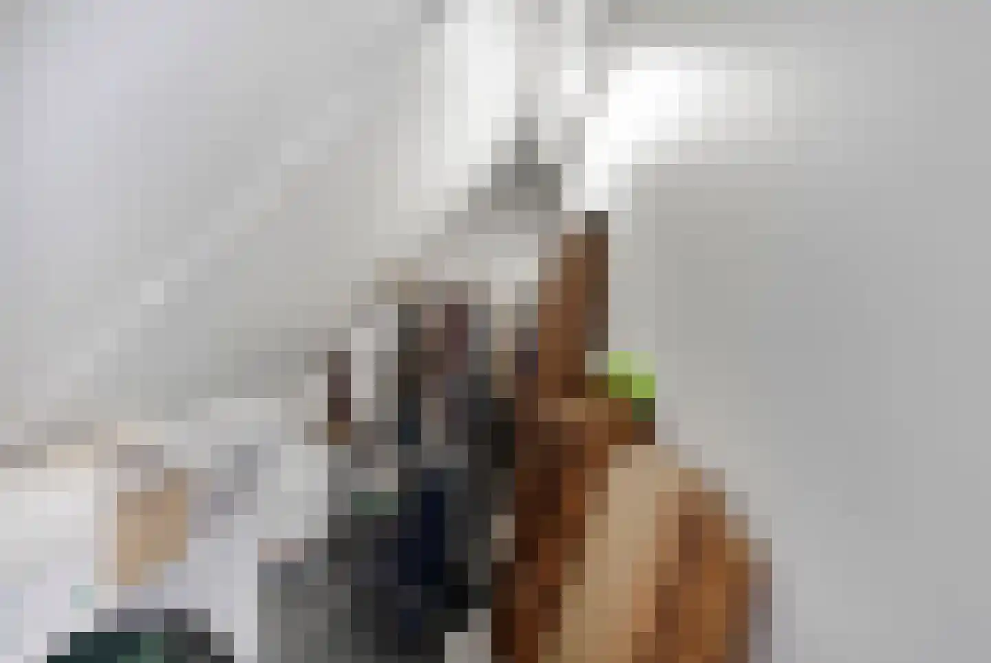 Park Hoornwijck 18 Rijswijk thumbnail 72